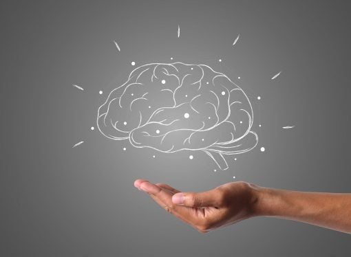 معجزة الدماغ البشري: اللدونة العصبية