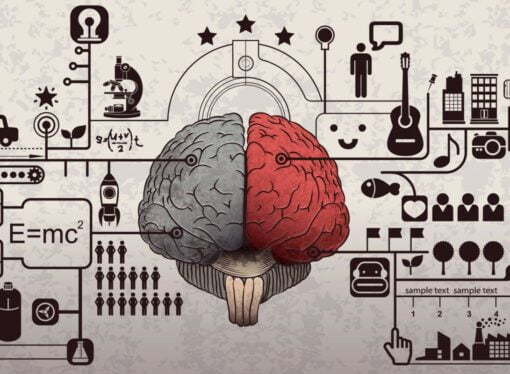 استراتيجية الذكاءات المتعددة في التعليم