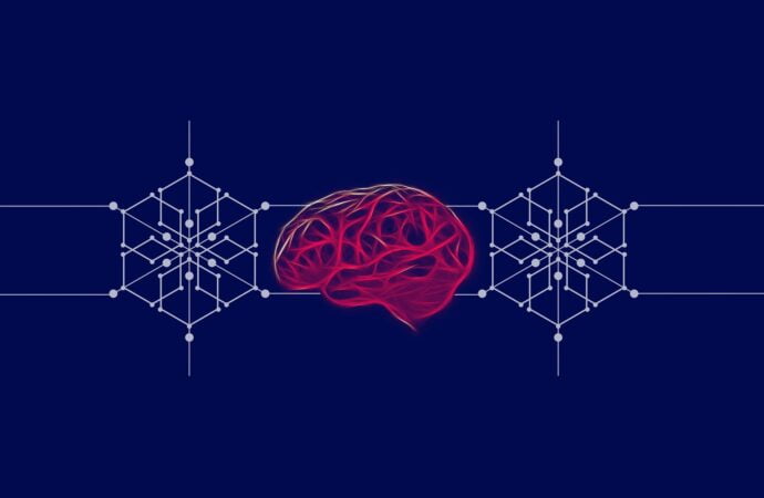 ما الذي يجعل سن الثانية إلى السابعة مهماً لتطور دماغ الإنسان؟