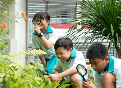 أدرس أقل وتعلم أكثر – المنهجية السنغافورية في تطوير التعليم