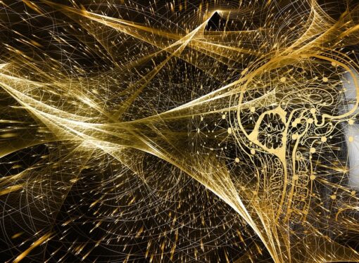 فك شفرة دماغ المراهق