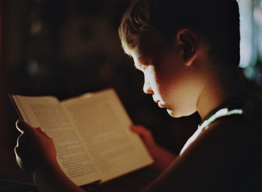 The Critical Role of Metacomprehension in Reading Proficiency